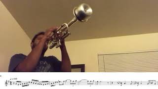 Smooth jazz trumpet with mute Trasctiption [upl. by Aikemahs]