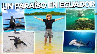 🐢 LA GUIA para VIAJAR a las ISLAS GALÁPAGOS 2022 🦎 Con todos los costos 💰💰💰 [upl. by Harp]