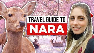 Ultimate Guide to NARA JAPAN [upl. by Rodrigo481]