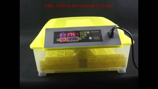 HHD Automatic 48 egg incubator introduction and operation YZ848 [upl. by Krissie]