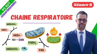 7 chaine respiratoire séance interactive [upl. by Fiorenza]