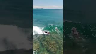 LOW TIDE LUNCH 😮 bodyboarding [upl. by Ahsie]