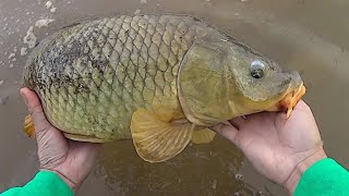 Keep It Simple Carp Fishing  Easy Method For Catching Carp [upl. by Ynnel]