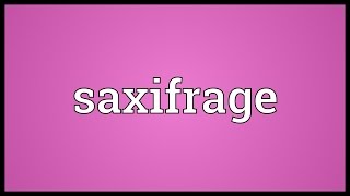 Saxifrage Meaning [upl. by Attiuqahs]