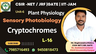 Cryptochrome  Structure Signaling amp Responses  Plant Physiology genesisinstitute [upl. by Barraza517]