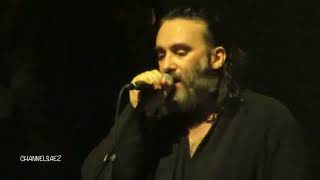 DAMIEN SAEZ I Pilule  Des ptits sous Live  Lille 21112023 [upl. by O'Kelly552]