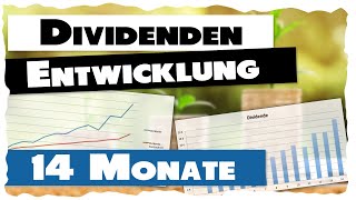 14Monat  Jeden Monat Dividende  Dividenden und Depotentwicklung [upl. by Hui]