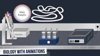 Southern Blot Method  Animated Video [upl. by Buderus433]