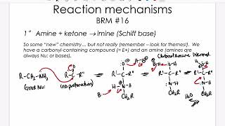 BRM 16 – Schiff base formation [upl. by Ehrlich]