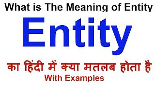 Entity Meaning in Hindi  Entity Definition  Entity Ka Matlab Kya Hota Hai  Entity in Hindi [upl. by Ainevul]