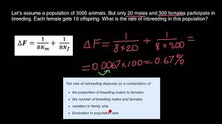 Animal breeding and inbreeding [upl. by Valerye23]