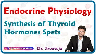 Synthesis Of Thyroid Hormones spets  Endocrine physiology USMLE Step 1 [upl. by Aip]