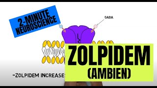 2Minute Neuroscience Zolpidem Ambien [upl. by Aiyotal]