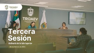 TRIJAEV Tercera Sesión [upl. by Neladgam]