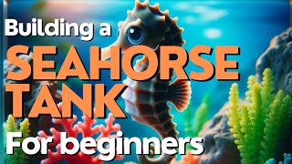 Building a Seahorse Tank for Beginners [upl. by Keiko]