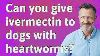 Can you give ivermectin to dogs with heartworms [upl. by Ydnor]