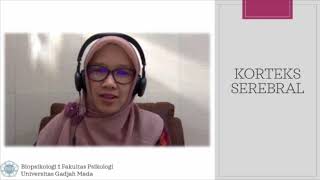 Kuliah Biopsikologi 1 Otak Korteks Serebral Part 1 of 3 [upl. by Noruq]