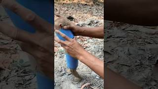 I found a monkey stuck in a pipe youtubeshorts facts factslides factfinder factsoflife [upl. by Elokin]