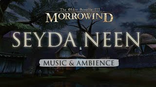 Seyda Neen  Peaceful Evening Morrowind Music amp Ambience  3 Hours [upl. by Nwadal943]