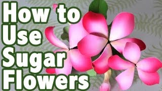 How to Use ReadyMade Gum Paste Flowers  Cake Tutorials [upl. by Ljoka383]