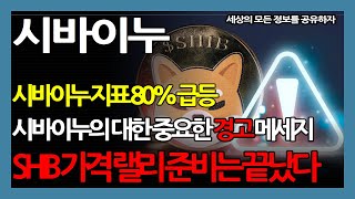 시바이누 시바이누 지표 80 급등 시바이누의 대한 중요한 경고 메세지 SHIB 가격 랠리 준비는 끝났다 [upl. by Geraint]