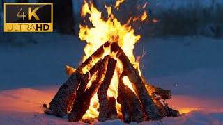 🔥 Cozy Campfire in the Winter Forest 10 HOURS 4K Ultra HD 🔥 Burning Logs amp Crackling Fire Sounds [upl. by Madda]