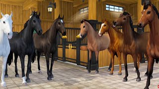 Buying NEW Belgian Warmblood Horses in Star Stable Online [upl. by Arlena]