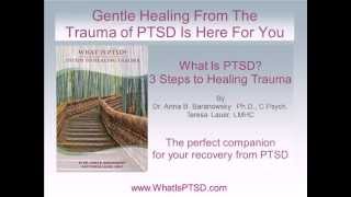 What Is PTSD 3 Steps To Healing Trauma  Teresa Lauer  Dr Anna Baranowsky [upl. by Eneleuqcaj]