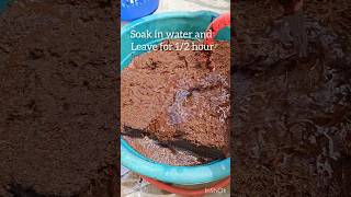 how to use cocopeat shorts plantscare gardening [upl. by Ailil]