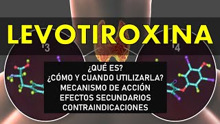 🔴 LEVOTIROXINA  PARA QUÉ SIRVE MECANISMO DE ACCIÓN EFECTOS SECUNDARIOS Y CONTRAINDICACIONES [upl. by Sirenay530]