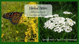 Herbal Bitters  What are you they amp how can they help you [upl. by Gherardo93]