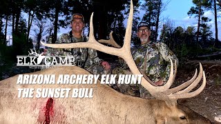 ELK CAMP TV The Sunset Bull [upl. by Neenaj]