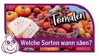 Tomatenanbauen  Aussaat im März von Tomaten  Wann startet man am besten mit Tomaten Voranzucht [upl. by Hsiri]