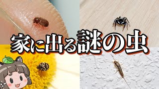 【画像あり】家の中に出るあの虫の正体6選｜駆除・対策方法も紹介 [upl. by Ithnan]