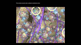 3D Animation of a Synapse [upl. by Adien]