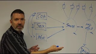 SEM Episode 4 The Structural Equation Model [upl. by Alper422]