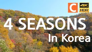 UHD 한국의 사계 4K Four Seasons [upl. by Ciri248]