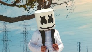 Marshmello  Alone Official Music Video [upl. by Kimberli513]