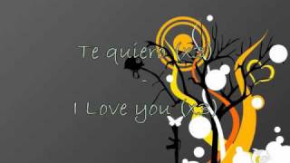 Stromae  Te Quiero  Lyrics on screen French  English [upl. by Hubing235]