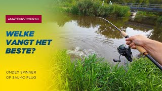 STRUINEND SNOEKEN met BLINKERS en PLUGGEN  Korte sessie 🎣🎣🎣 [upl. by Yevol201]