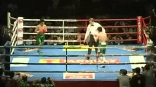 Brian Viloria vs Ulises Solis [upl. by Mungam]