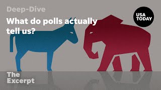 What do polls actually tell us  The Excerpt [upl. by Yeorgi]