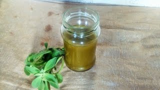 How to Make Oregano Oil at Home [upl. by Ettevi]