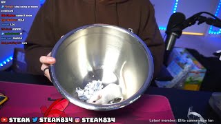 BUYING A HAMSTER 🐹 IRL STREAM Full Uncut Steak Livestream [upl. by Rawlinson]