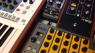 Beast Frenzy Akai Timbre Wolf amp Tom Cat Moog amp Boss Pedals [upl. by Chas]