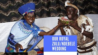 Royal ZuluNdebele Traditional Wedding Ceremony Village Setting in Bulawayo Ndebele wedding songs [upl. by Ailedroc]