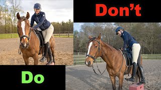 HOW TO GET ON A HORSE FOR BEGINNERS [upl. by Ssyla805]