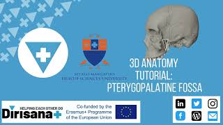 3D ANATOMY TUTORIAL PTERYGOPALATINE FOSSA amp CLINICAL RELEVANCE [upl. by Cronin]