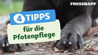 4 Tipps für die Pfotenpflege eures Hundes im Winter [upl. by Debo163]