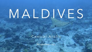 Diving the Maldives Central Atolls 4K [upl. by Erme]